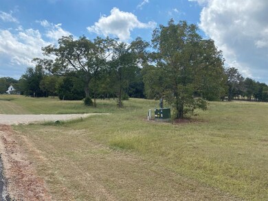 484 Canal St, Corsicana, TX 75109 - photo 3