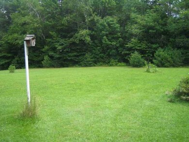 Yard/Garden. backyard