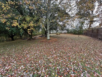 258 Davis St, Smithville, TN 37166 - photo 5