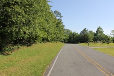 0 Timberlane Dr, Americus, GA 31709 - photo 5