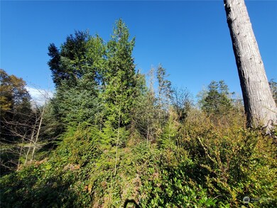 36602 Stackpole Rd, Oysterville, WA 98641 - photo 4