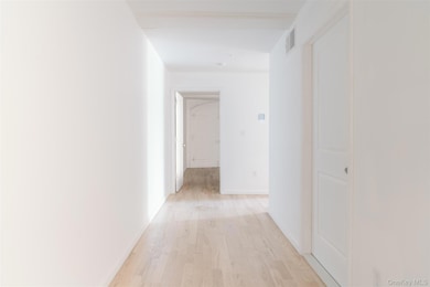 155 S River St unit Basement B, Troy, NY 12180 - photo 2