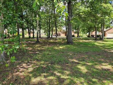VIEW FROM THE BACK OF THE LOT