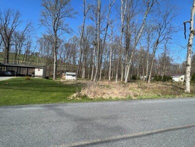 7249 Christmas Ln, Slatington, PA 18080 - photo 6