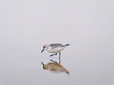 73 North End Blvd unit 2, Salisbury, MA 01952 - photo 5