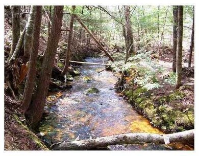 Land/Lot. Stream running along back...