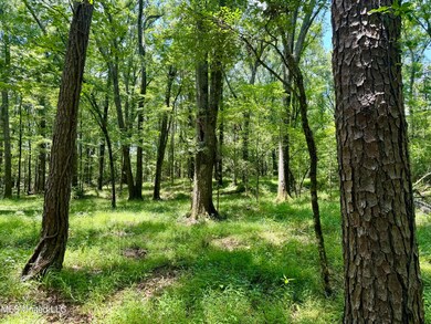 IMG_0150