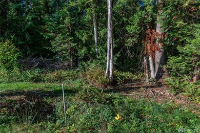 272 219th St NW, Stanwood, WA 98292 - photo 4