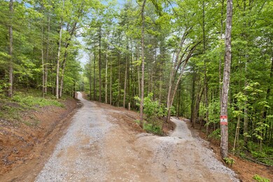 16 Clay-Alexander Rd, Campton, KY 41301 - photo 7