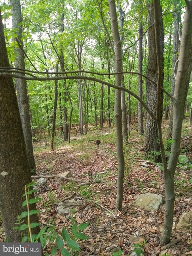 60 High Mountain View Rd, Three Chrs, WV 26757 - photo 6