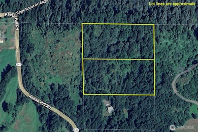 48 XX Reese Hill Rd, Sumas, WA 98295 - photo 2