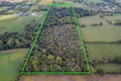 0 State Hwy E, Oak Ridge, MO 63769 - photo 3