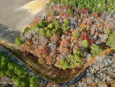 0 Williams St, Williamston, NC 27892 - photo 4