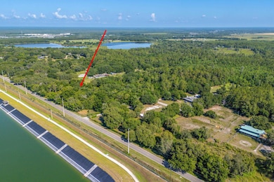 30647 Elam Rd, Wesley Chapel, FL 33545 - photo 4