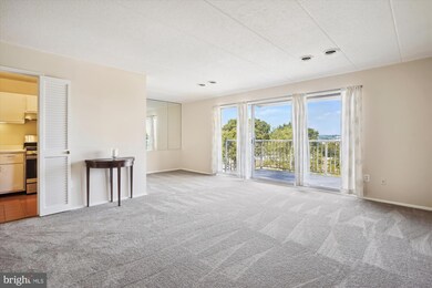 2632 Wagon Dr unit 289, Alexandria, VA 22303 - photo 3