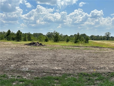 Lot 32 the Banks Drive Hwy 16 Hwy, Franklinton, LA 70438 - photo 4