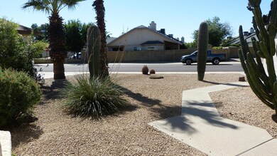 Front Yard