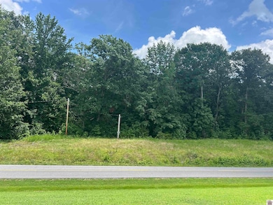 Ponderosa Sub15 Kentucky 274, Cadiz, KY 42211 - photo 2