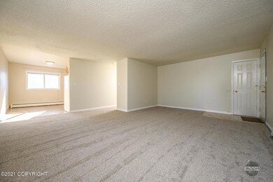 Spacious living room