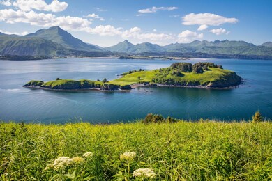 L9 Beaches - Cliff Point Estates, Kodiak, AK 99615 - photo 7