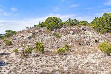 View of local wilderness