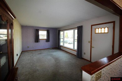 419 10th St N, New Ulm, MN 56073 - photo 4