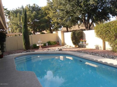 Sparkling Pool in Back Yard