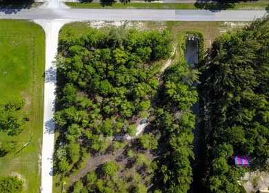 DJI_0226