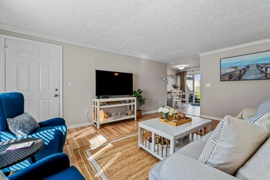 Comfortable and Immaculate!