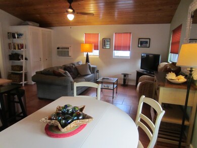 Living Room and Dining Area
