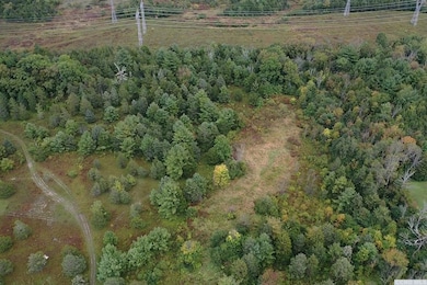 9676 Route 9w, Athens, NY 12015 - photo 5