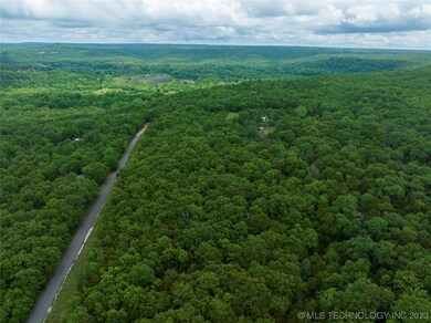 0 Pine Hill Rd, Redbird Smith, OK 74435 - photo 6