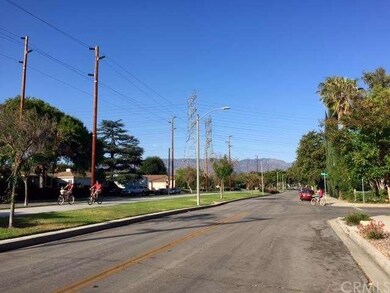 Chandler Bike path in front of the house and Burba
