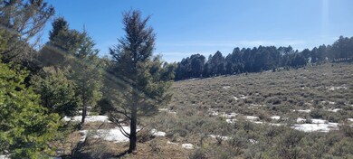 TBD Parcels 3A Bivens Creek Ridge Rd, Sheridan, MT 59749 - photo 6