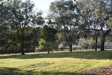 30126 Bretton Loop, Mount Dora, FL 32757 - photo 5