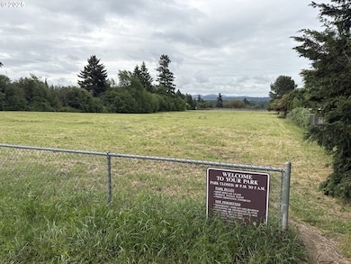 Neighborhood Park