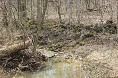 1500 Baxter Ridge Rd, Lawrenceburg, KY 40342 - photo 2