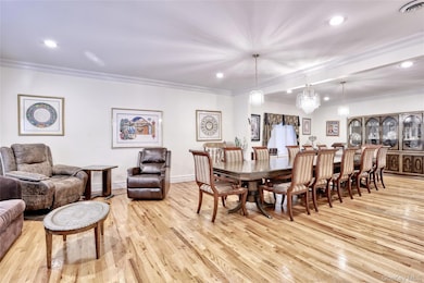 11 Golar Dr, Monsey, NY 10952 - photo 5