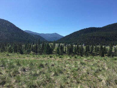 IMG_3309