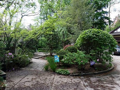 Yard/Garden.