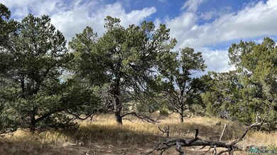 0 Mountain View unit 24140967, Pie Town, NM 87827 - photo 6