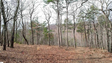 44 Mountain Oak Ln, Travelers Rest, SC 29690 - photo 6