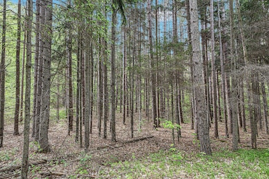 003_img_0950_955