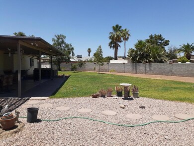 2211 Back Yard2
