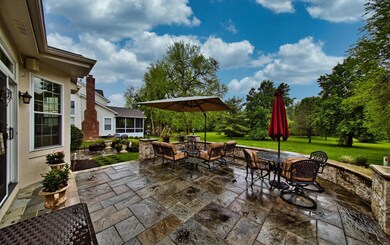 fern terrace 1