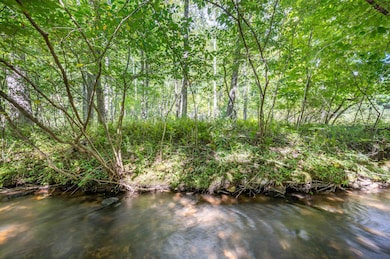 1286 Cox Store Rd SW, Floyd, VA 24091 - photo 3