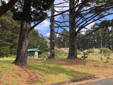 1630 Upper Pacific Dr, Whitethorn, CA 95589 - photo 3