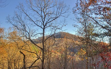 Additional View
