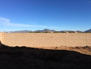 Back yard view