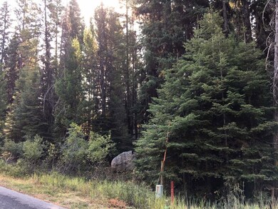 Road Frontage